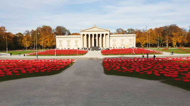 Mohnblumen auf dem Königsplatz