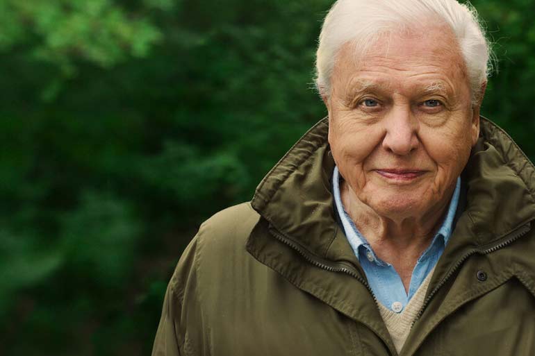 David Attenborough – Mein Leben auf unseren Planeten – Jetzt auf Netflix