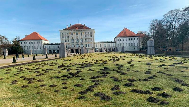 Maulwürfe baggern sich durch Nymphenburger Schlosspark