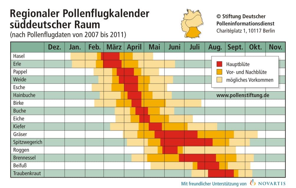 Die Pollen in München fliegen wieder