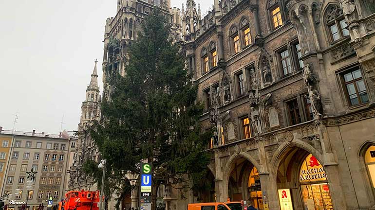 Exklusiv: Stadt bestätigt Münchens Christbaum 2020