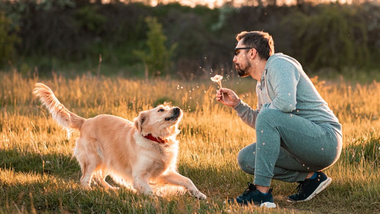 Aktivitäten mit Hund: Hier kannst du deinen Vierbeiner mitnehmen