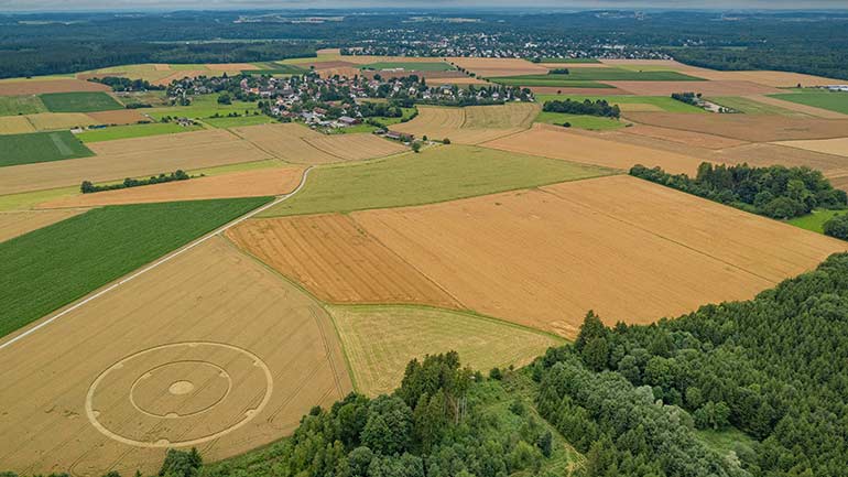 Kornkreis im Münchner Umland aufgetaucht