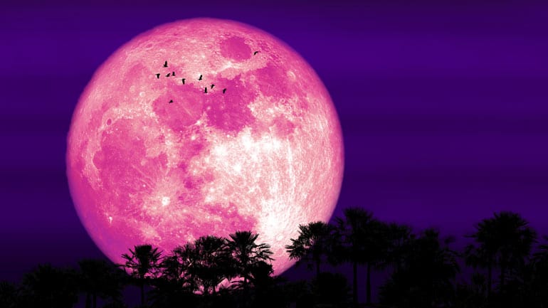 „Pinker Mond“ im April