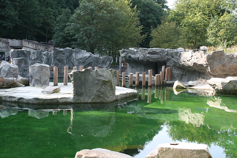 Neue Polarwelt im Tierpark Hellabrunn