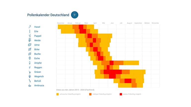 Pollenflugkalender 2021 für München