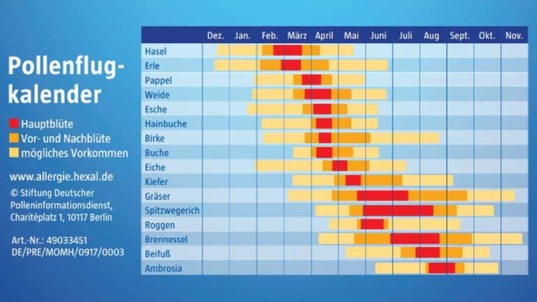 Pollenflugkalender 2019 für München