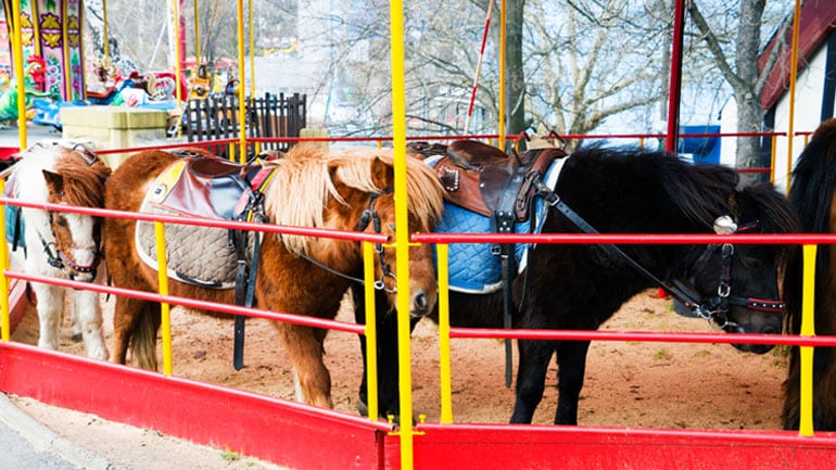 Ponyreiten künftig auf Volksfesten in München verboten