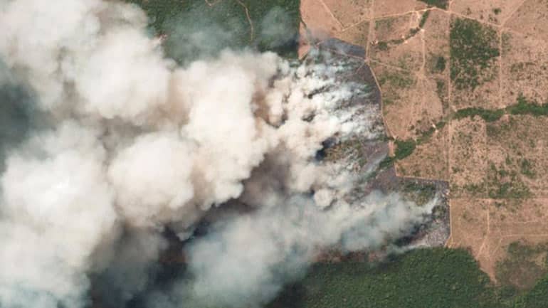 Verheerende Regenwald-Brände