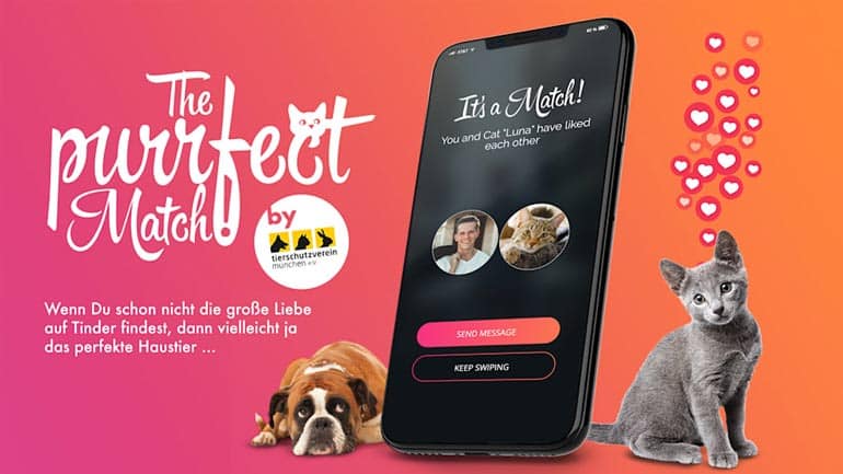 Tierheim München nutzt ab sofort die Dating-App Tinder