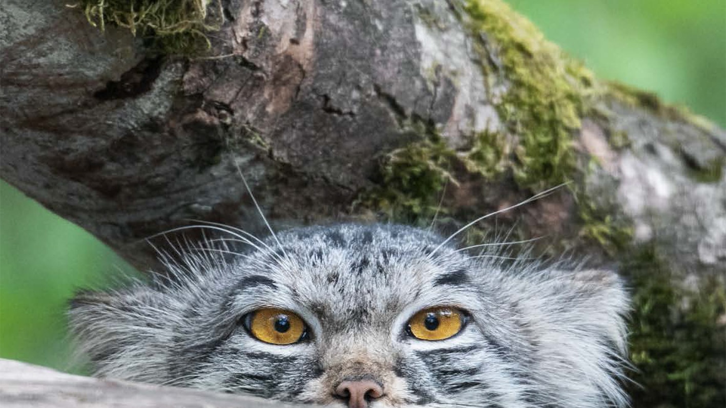 Blick hinter die Kulissen im Tierpark Hellabrunn