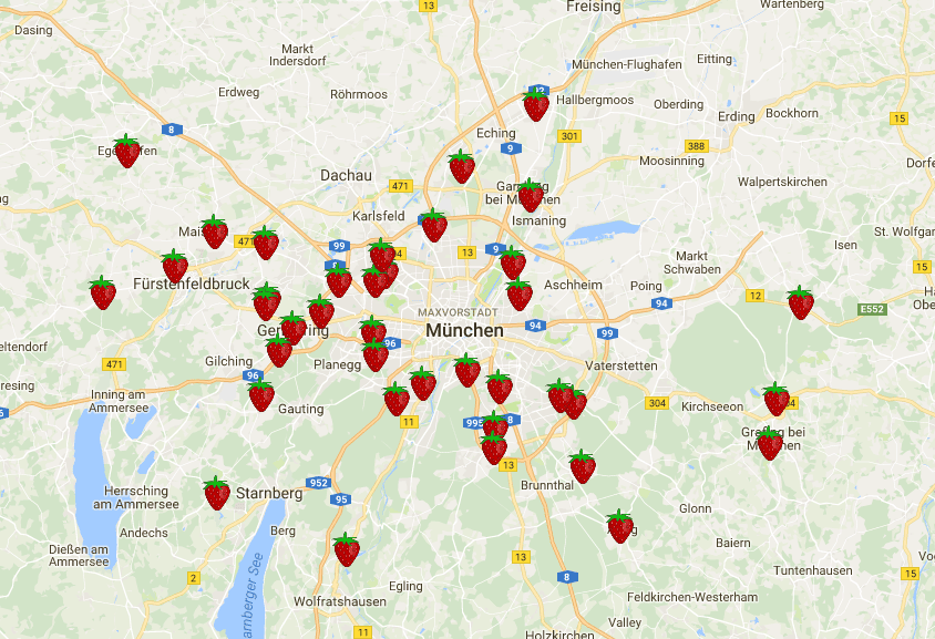 Erdbeerfelder in und um München