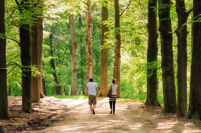 Diese schönen Wälder in und um München solltest du kennen