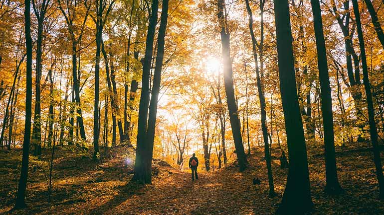 Wandern im Münchner Umland