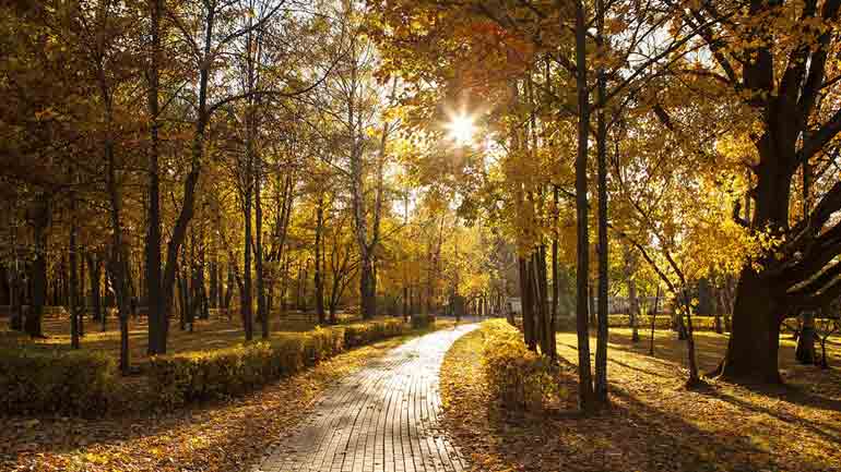 Die 6 schönsten Herbst-Spaziergänge in München