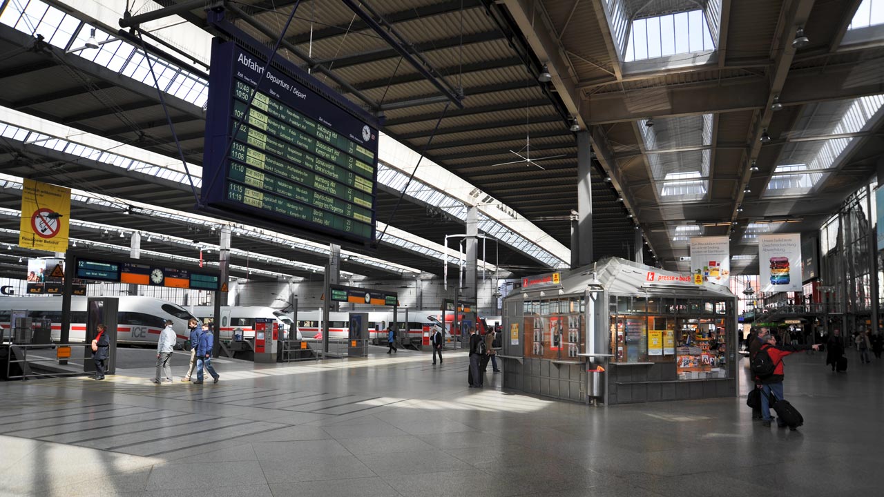 Tierschutz missachtet? Am Münchner Hauptbahnhof sterben Tauben, weil der DB Ausrüstung fehlt