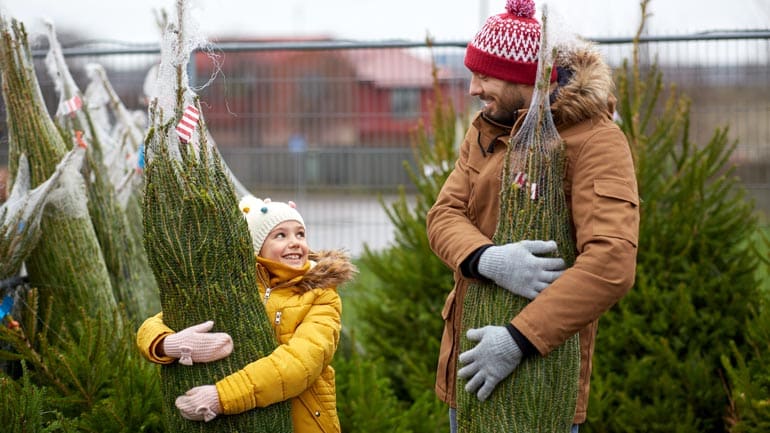 Christbaumverkauf 2022 in München
