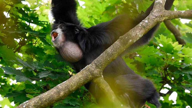 Ab dem 11. Mai: diese Regeln gelten im Tierpark Hellabrunn