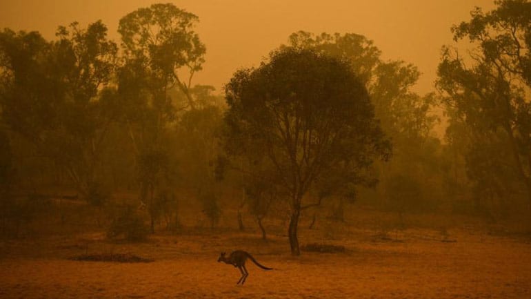 Achtung Betrug: Das musst du beim Spenden für Australien beachten