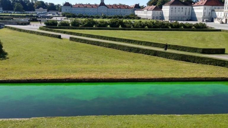 Nymphenburger Schlosskanal in giftgrün