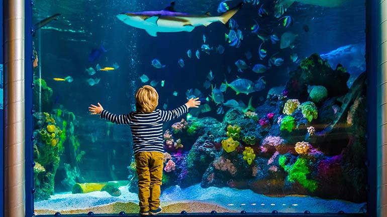 Sea Life München darf wieder öffnen