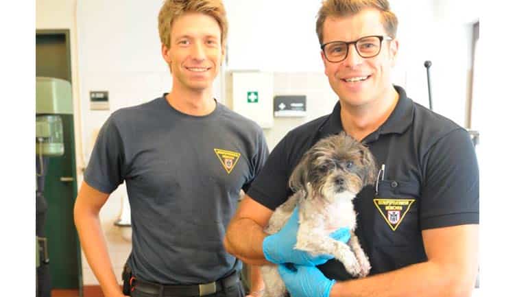 Hunde-Duschbad löst Feuerwehreinsatz aus