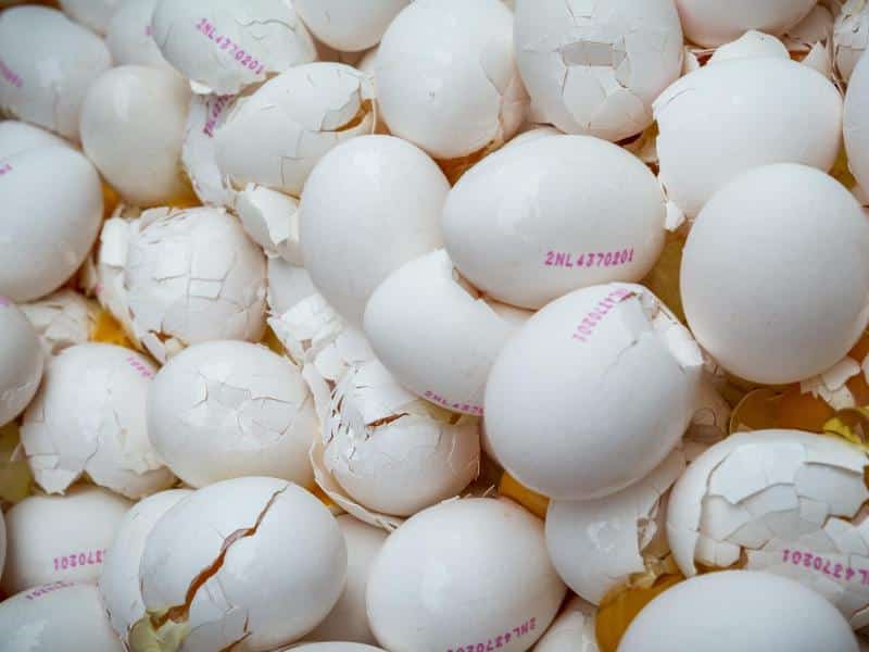 Fipronil-Skandal: Aldi nimmt Eier aus dem Verkauf