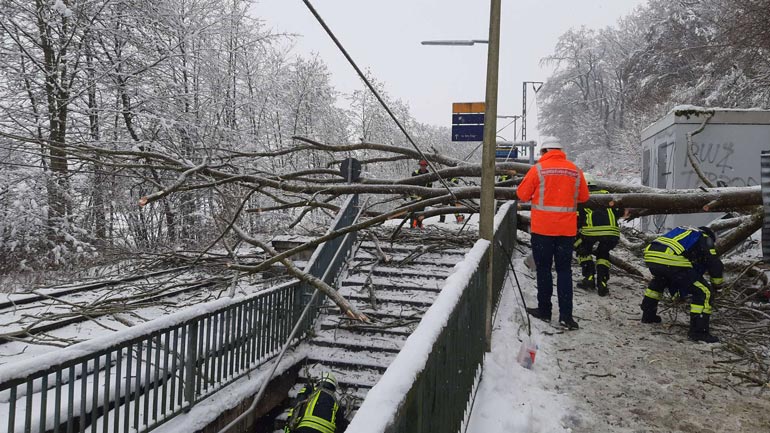 Baum stürzt auf S-Bahn-Gleis im Landkreis Erding – Strecke vorerst gesperrt