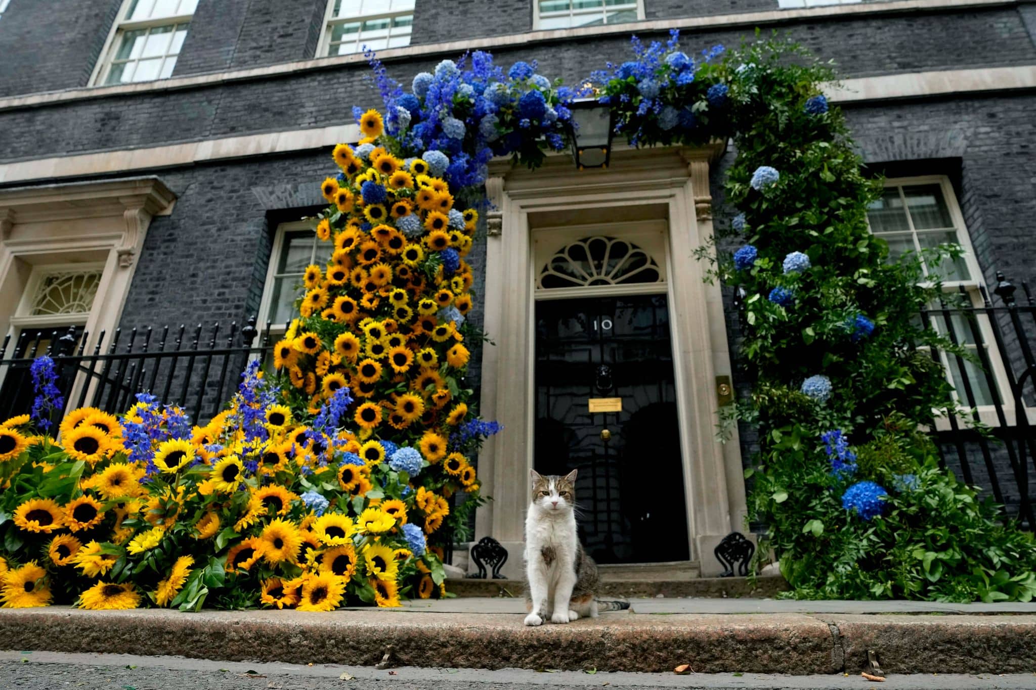 Elf Jahren im Dienst: Wer wird vierter britischer Regierungschef an der Seite von Larry the Cat?