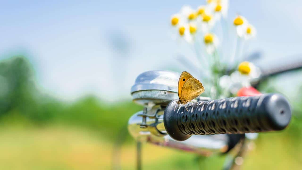 Fahrrad fit machen für den Frühling