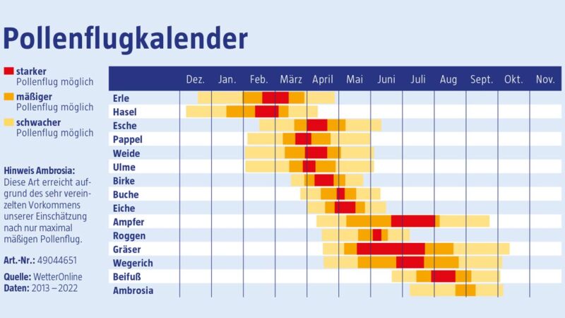 Pollenflug München - Der Kalender für 2023 | 95.5 Charivari