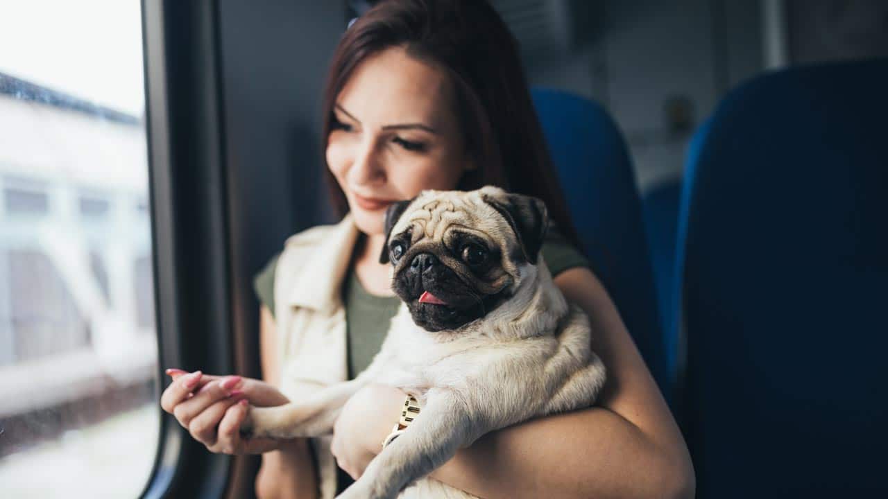 Das ändert sich für Hundebesitzer jetzt in der Bahn