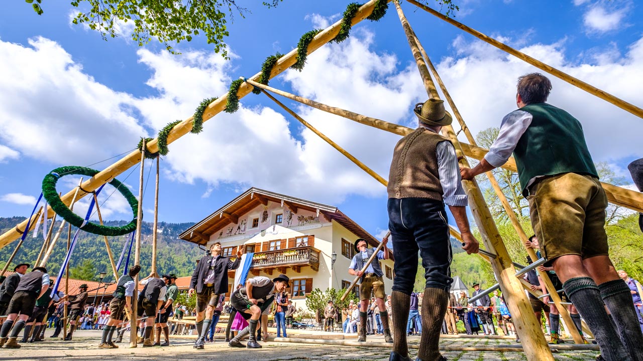 Maibaum klauen: Was hat es mit dem Brauch auf sich?