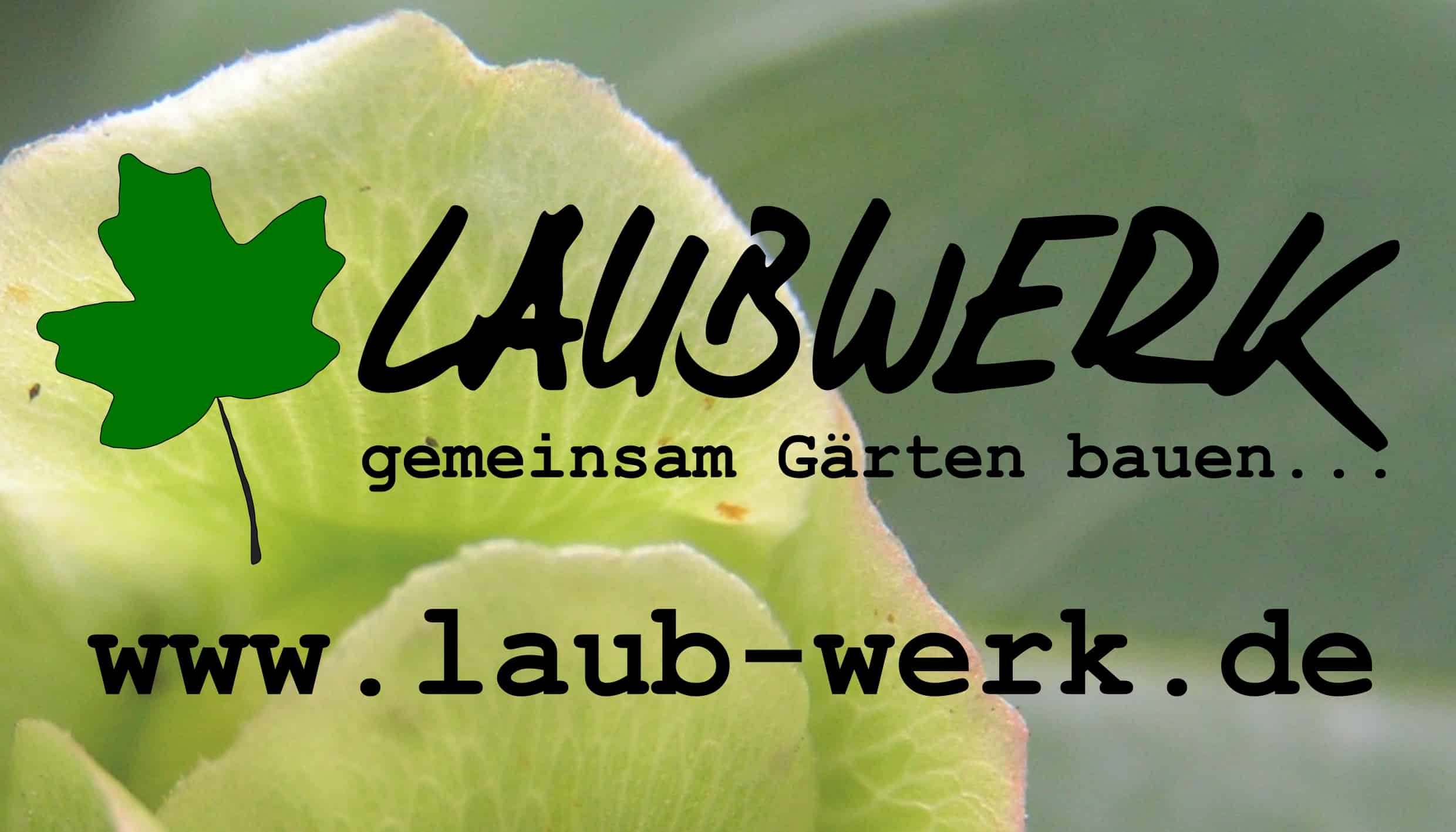 Laubwerk Gartengestaltung