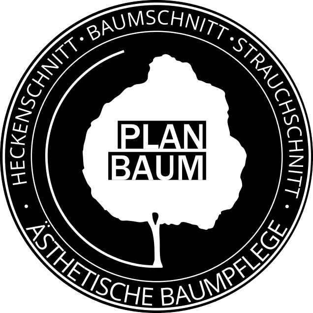 Planbaum – Ästhetische Baumpflege