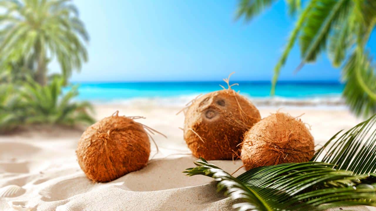 Superfrucht und vielseitig einsetzbar: Was du alles mit einer Kokosnuss machen kannst