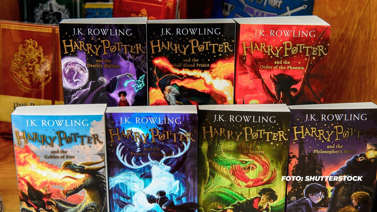 25. Jubiläum Harry Potter - Gespräch mit Hörbuch-Sprecher