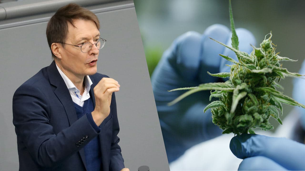 Bundestag beschließt Legalisierung von Cannabis in Deutschland