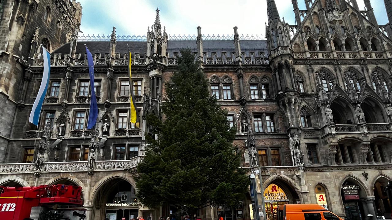Das ist der diesjährige Christbaum für den Marienplatz