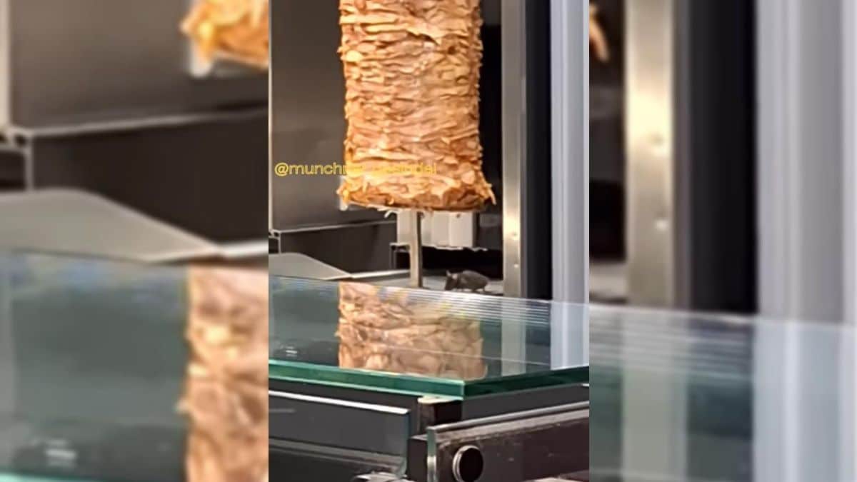 Video zeigt Maus unter Spieß in Dönerbude | 95.5 Charivari