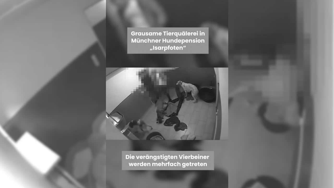 Schockierende Videos zeigen Tierquälerei in Münchner Hundepension