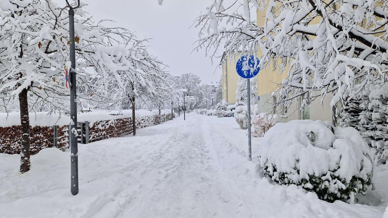 Münchner Schneetreiben: So beeinflusst der Schnee Parks, Kanäle, Tierpark und Co.