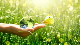 Experten-Tipps Nachhaltigkeit und Umwelt