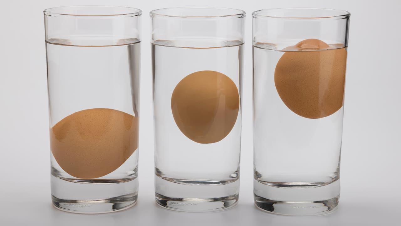 Wie du schnell herausfindest, ob dein Ei noch gut ist oder nicht