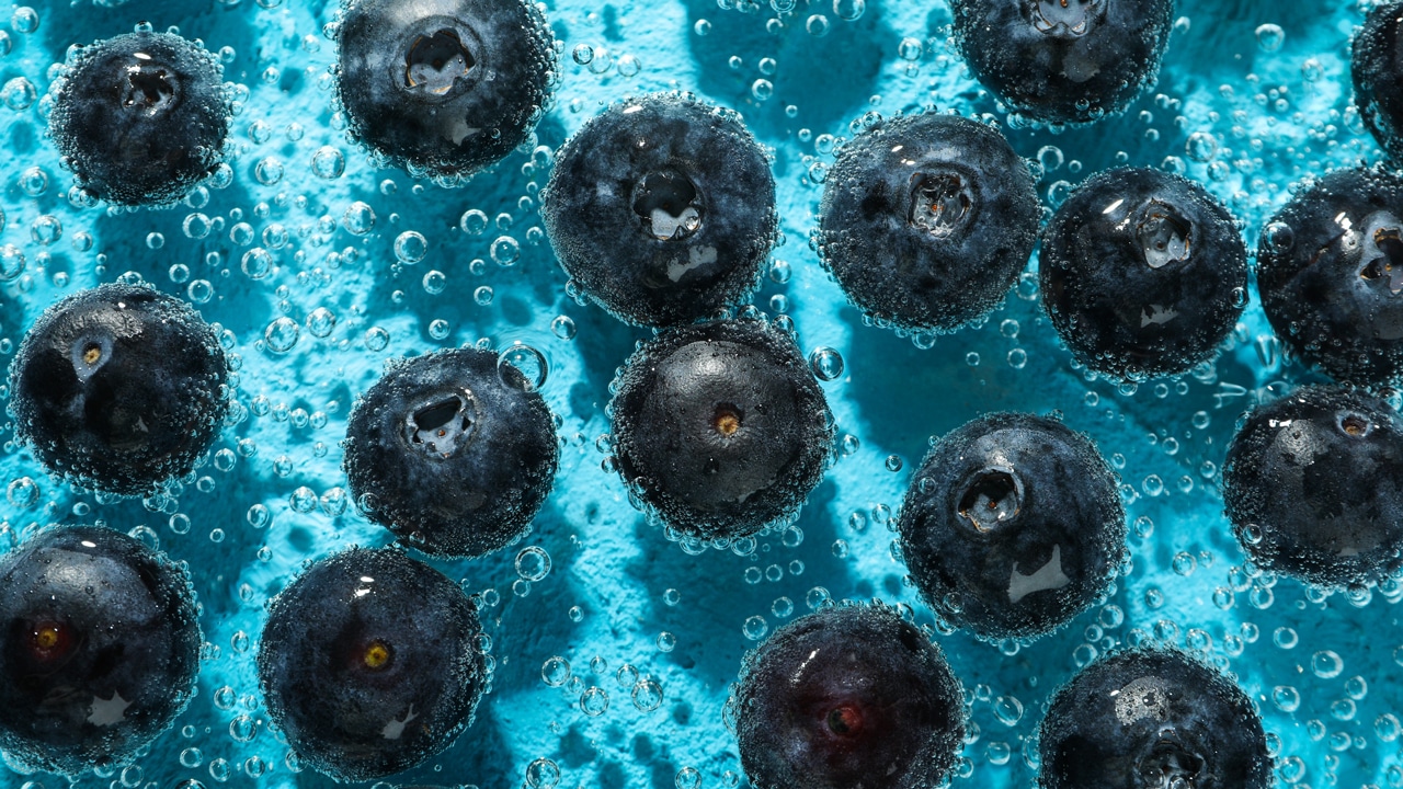 Wie du ab jetzt immer weißt, welche Blaubeeren süß sind