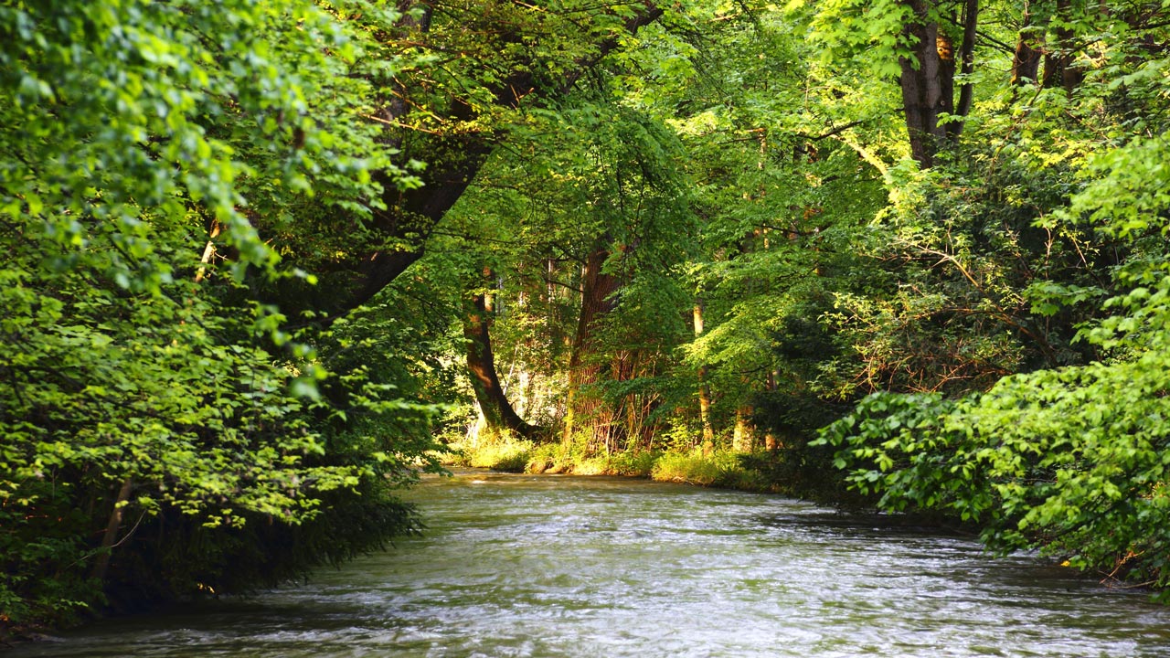 Identität bestätigt: Spaziergänger finden Leiche von vermisstem Studenten im Eisbach