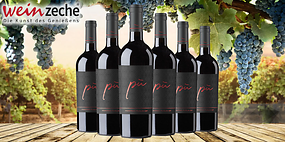 6 Flaschen Piu Primitivo zum halben Preis!