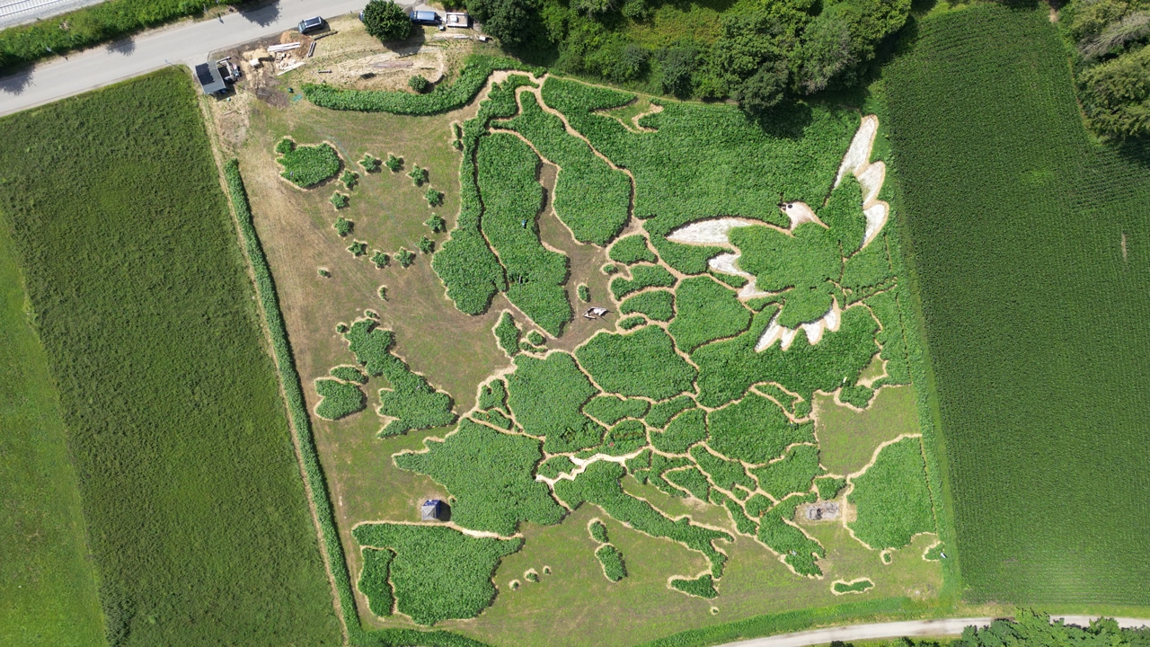 „Ex Ornamentis“: Labyrinth in Utting startet mit neuem Motiv