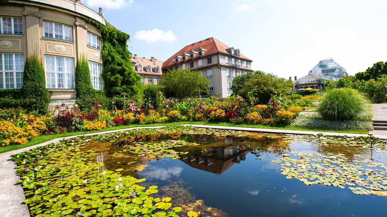 Neue Sportflächen werden am Alten Botanischen Garten eröffnet