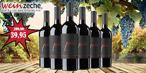 6 Flaschen Piu Primitivo für nur 39,95 €!